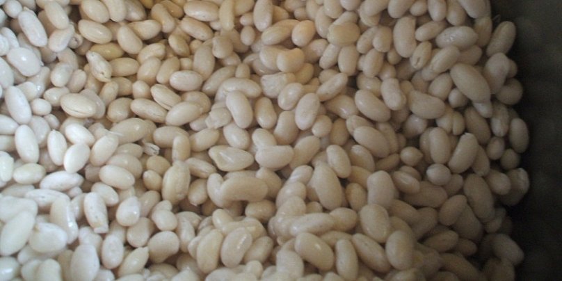 Click image for larger version

Name:	Army Beans.jpg
Views:	1
Size:	57.8 KB
ID:	230979