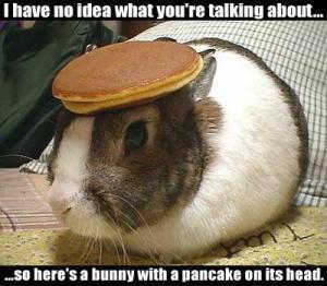 Click image for larger version

Name:	pcbun.jpg
Views:	88
Size:	18.6 KB
ID:	216678