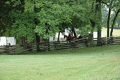 Click image for larger version

Name:	Perryville Farm Day 2008 016.jpg
Views:	110
Size:	148.3 KB
ID:	218499