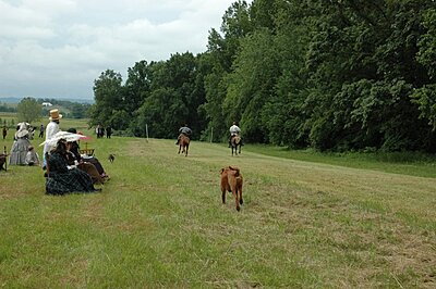 Click image for larger version

Name:	Perryville Farm Day 2008 074.jpg
Views:	109
Size:	121.4 KB
ID:	218501