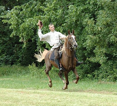 Click image for larger version

Name:	Perryville Farm Day 2008 077.jpg
Views:	114
Size:	170.1 KB
ID:	218502