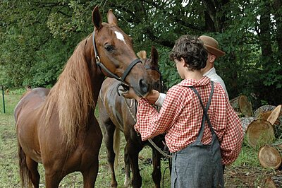 Click image for larger version

Name:	Perryville Farm Day 2008 090.jpg
Views:	107
Size:	142.8 KB
ID:	218507