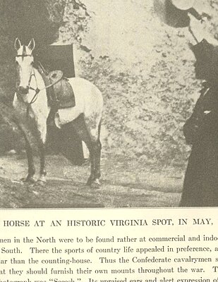 Click image for larger version

Name:	Capt Perkins Sesesh horse captured Cornwallis-Cave2.jpg
Views:	154
Size:	944.0 KB
ID:	219211