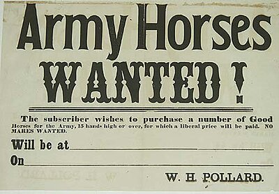 Click image for larger version

Name:	Broadside[armyhorses].jpg
Views:	208
Size:	34.0 KB
ID:	219825