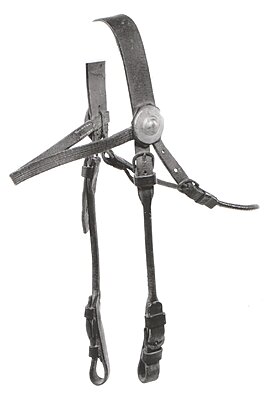 Click image for larger version

Name:	Civilian bridle.jpg
Views:	209
Size:	487.3 KB
ID:	220831