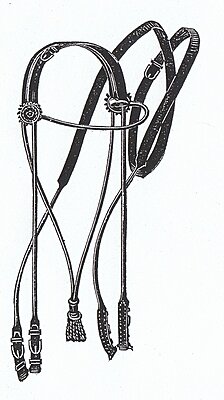 Click image for larger version

Name:	Ladies Bridle.jpg
Views:	204
Size:	374.2 KB
ID:	220833