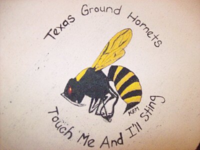 Click image for larger version

Name:	Texas Ground Hornets.JPG
Views:	131
Size:	888.2 KB
ID:	220936