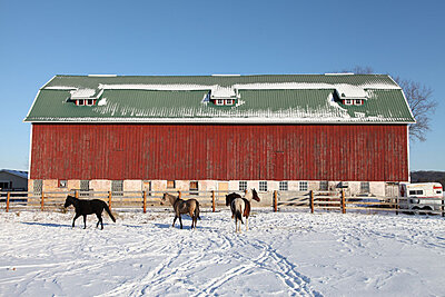 Click image for larger version

Name:	Wisconsin-Winter.jpg
Views:	131
Size:	162.5 KB
ID:	224778