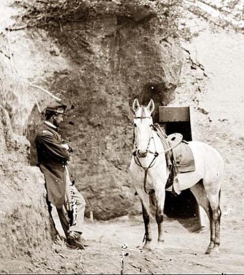 Click image for larger version

Name:	Capt Perkins Sesesh horse captured Cornwallis-Cave.jpg
Views:	275
Size:	66.2 KB
ID:	228098