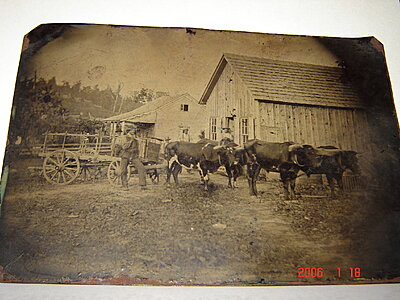 Click image for larger version

Name:	Oxen team tintype.jpg
Views:	332
Size:	1.78 MB
ID:	228190