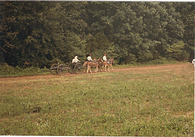 Click image for larger version

Name:	1st Bull Run Mule Drawn Artillery.JPG
Views:	301
Size:	539.3 KB
ID:	230397