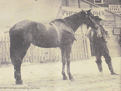 Click image for larger version

Name:	Sur. John Wiley horse 6th NJ Inf.jpg
Views:	204
Size:	991.0 KB
ID:	230592