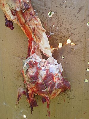 Click image for larger version

Name:	Leg Bone After.jpg
Views:	245
Size:	1.91 MB
ID:	230862