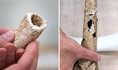 Click image for larger version

Name:	Bone Damaged by Minnie Ball 2nd Manassas.jpg
Views:	55
Size:	58.6 KB
ID:	232520